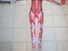 Attack on Titan Super Giant Jumpsuit Muscle Shapewear Halloween 3D Printed Suit