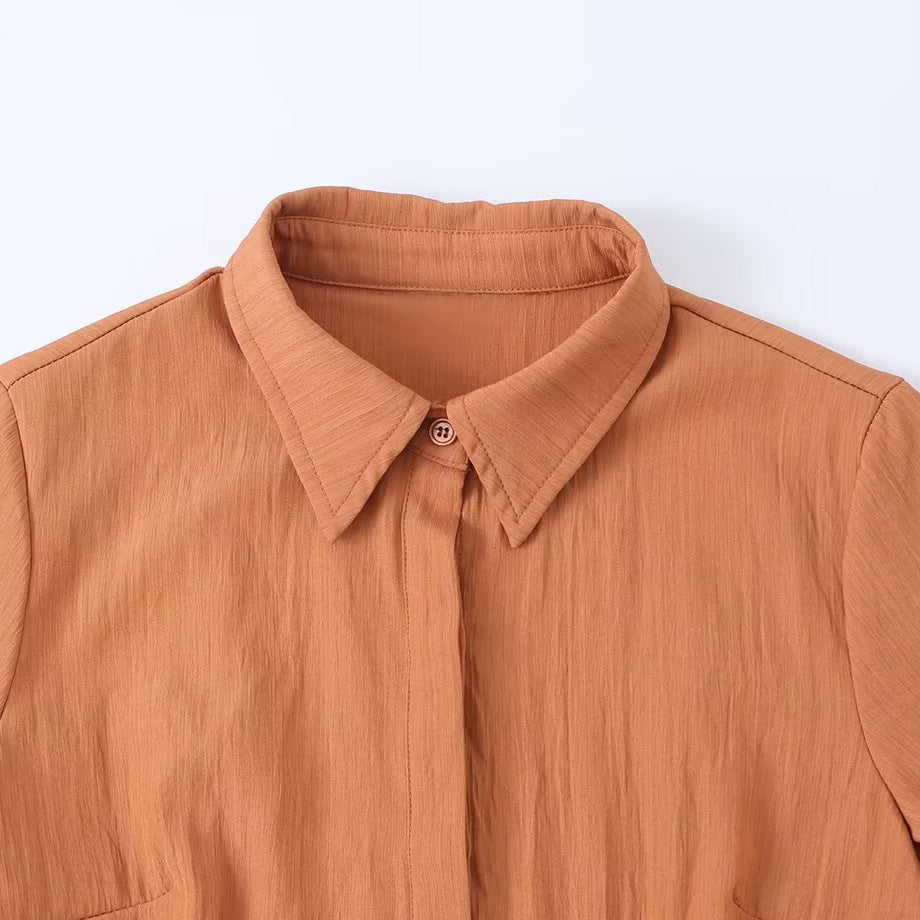 Commuting style belt waist cinching big swing shirt dress