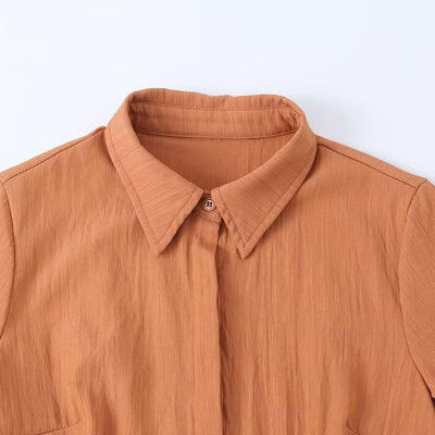 Commuting style belt waist cinching big swing shirt dress
