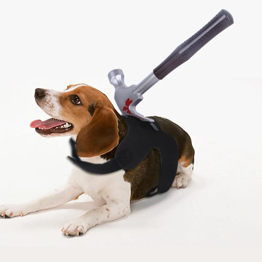 6 Types Funny Animals Cosplay Clothes for Holloween Party Pets Halloween Costumes Dog Cats